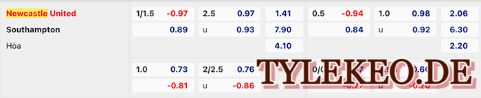 Newcastle vs Southampton
