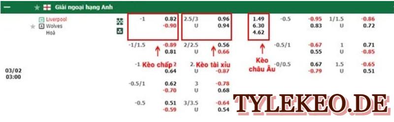 Liverpoll vs Wolves