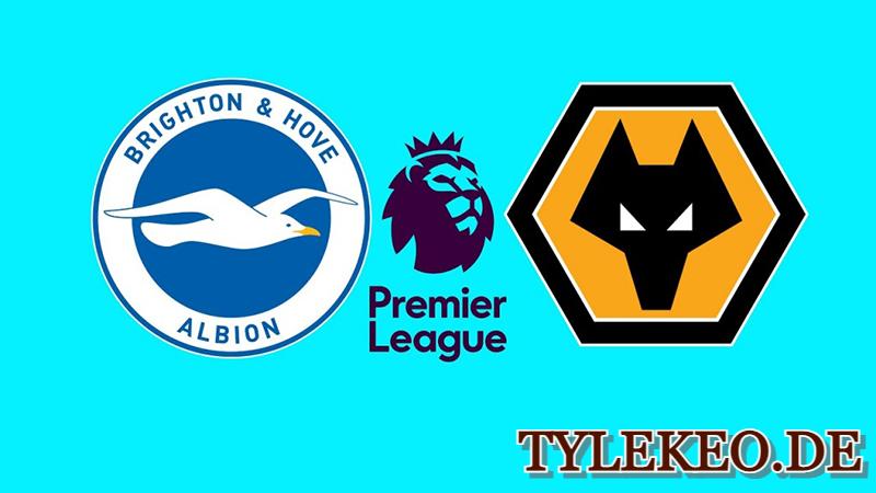 Brighton vs Wolves