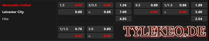 Newcastle vs Leicester