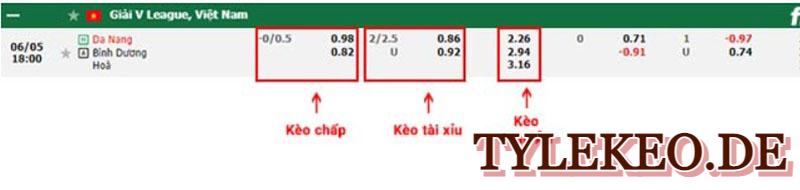 Đà Nẵng vs Bình Dương