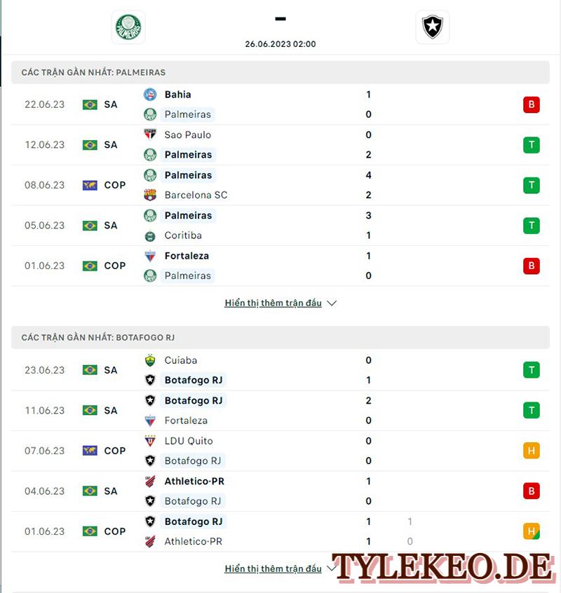 Palmeiras vs Botafogo